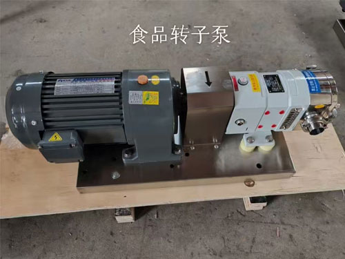 Cam rotor pump